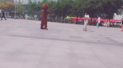 文化宫的小姐姐在哪里,探寻文化宫小姐姐的足迹
