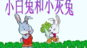 小白兔和小灰兔的故事带拼音,友谊与成长的森林奇遇