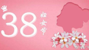 三八妇女节什么时候开始的,三八妇女节的起源与发展历程