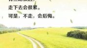 正能量文章励志短文500字,正能量励志短文精选
