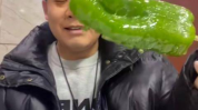 林清平网红吃瓜,揭秘娱乐圈幕后真相