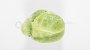 吃瓜网图照片,娱乐圈最新热点事件大揭秘