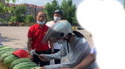 柳州吃瓜事件网,一场网络狂欢背后的真相与反思